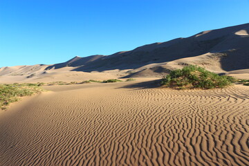 Sanddüne in Gobi Wüste, Mongolei