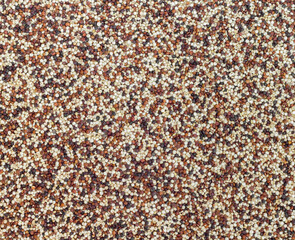 Seeds of uncooked quinoa