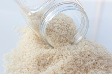 fresh and organic rice