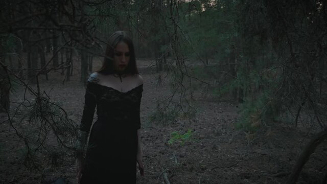 Dark mystical silhouette of an adult gothic girl. A vampire woman with blood on her lips walks in a deep forest. Black medieval dress.