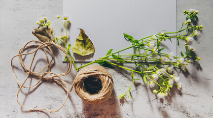 Moody wedding styled composition with blank white paper card. Feminine desktop mockup scene with green herbs, jute string, vintage fall dry leaves. Top view flat lay photo.