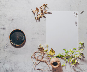 Vintage feminine mockup flat lay photo with white blank paper, green herbs and dry fall leaves, jute string and wooden branches. Boho wedding stationery. Online blog web banner. Top view photo.