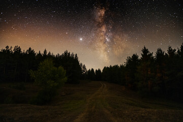 Obraz na płótnie Canvas Night landscape , beautiful starry night in the forest and bright milky way galaxy. Beauty in nature.