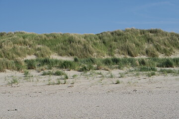 Dünen am Strand der Nordseeinsel Langeoog im Sommer 