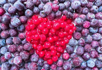 
Background of frozen blue berries and red cranberry heart.