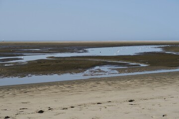 Priel mit Vögeln bei Ebbe auf der Nordseeinsel Langeoog.