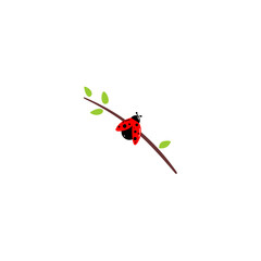 Vector cartoon ladybug. Ladybug insects on the branches.

