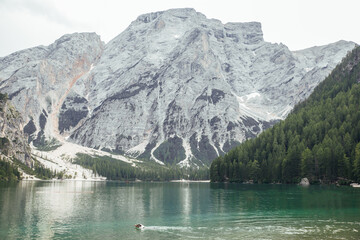 Fototapeta na wymiar Big Mountains in Lago di Braies ,Dolomites Alps, Italy