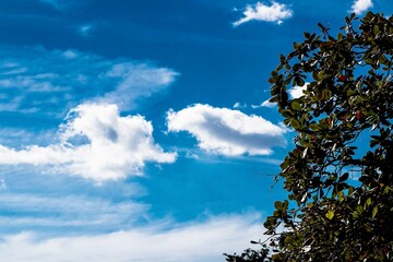 Obraz premium sky and clouds