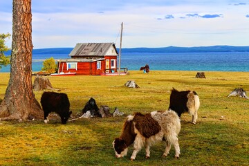 Khovsgol lake, Mongolei
