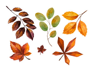 Warm cozy autumn watercolor clipart isolated on white background. coffee tea autumn leaves mulled wine apple pumpkin book candle