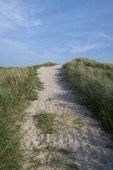 Fototapeta premium Dünenweg auf der Nordseeinsel Langeoog im Nationalpark Niedersächsisches Wattenmeer 