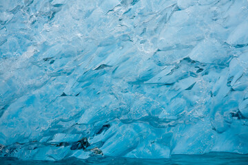Iceberg, South Sawyer Glacier, Alaska