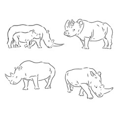 Rhino silhouette line drawings - vector set of three . Rhino vector sketch illustration