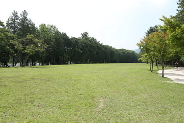 golf course on a day
