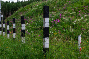 black and white striped fence posts with barbed wire stand in dense grass with pink flowers in green field, hill