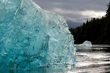 Obraz premium Iceberg in Holkham Bay, Alaska