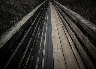 Wooden walkway over reeds in Martinez, CA