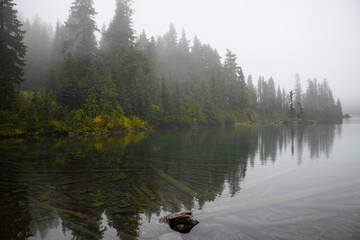 Morning in the forest with fog and a reflection in a lake