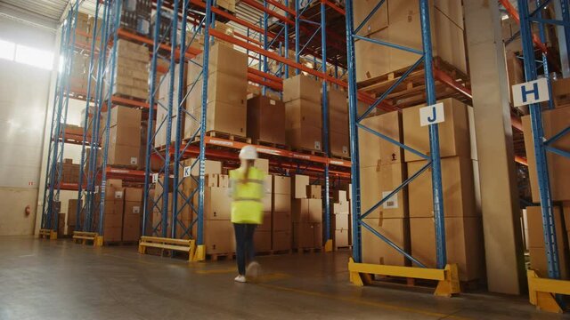 Time-Lapse: Retail Delivery Warehouse full of Shelves with Goods in Cardboard Boxes, Workers Sort Packages, Move Inventory with Pallet Trucks and Forklifts. Product Distribution Logistics Center