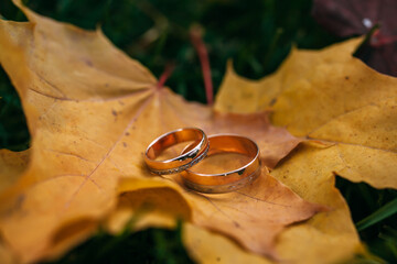Wedding rings on autumn golden leaf