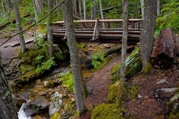 Bridge in the woods made of logs with a small waterfall