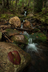 Waterfall with long exposure - Mount Isolation via Glen Boulder Trailhead.