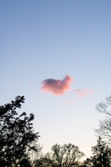 Fototapeta na wymiar A Heart Shaped Pink Cloud on a Clear Blue Sky