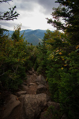 Fototapeta premium Mount Isolation hiking trail in the White Mountains.