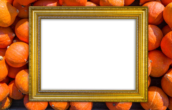 gold frame on pumpkin field, free space for your design, mock up