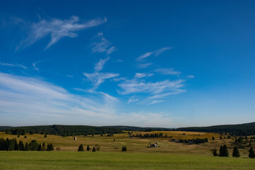 Fototapeta na wymiar autumn landscape with blue sky