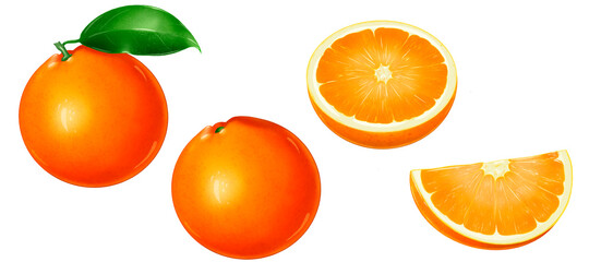 Set of orange fruits without shadow isolated on white background. Two whole fruit with leaves and without,  aslice and a half an orange. Digital food hand drawn illustration.