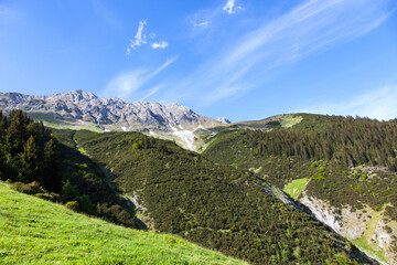 Fototapeta na wymiar Berge in Tirol, Baumgrenze