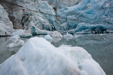 Fototapeta na wymiar Icebergs, Glacier Bay National Park, Alaska