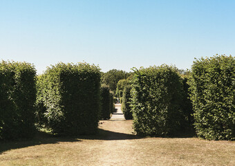 statue in the garden