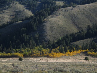 アメリカのワイオミング州のグランドティトン国立公園
