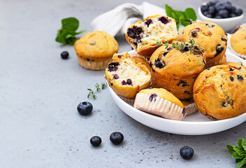 Healthy vegan banana blueberry muffins in a white ceramic bowl with fresh berries, thyme and mint. Grey concrete background.