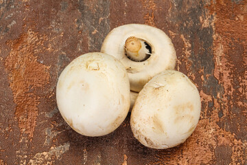Raw Champignon heap for cooking