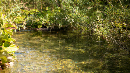 Gosau Geo-Rundweg - Bach (2020-09)