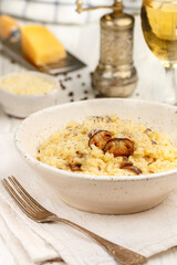 Risotto with porcini mushrooms, Parmesan cheese, Pecorino, onion, garlic, olive oil, dry white wine, freshly ground black pepper and aborio rice. Traditional dish of Mediterranean (Italian) cuisine.