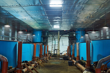 interior of a workshop with tanks for keeping fish in a fish hatchery