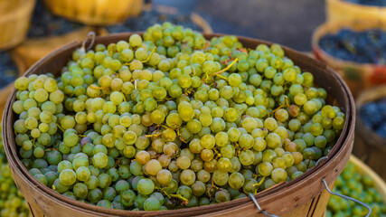 A hangover is the wrath of grapes