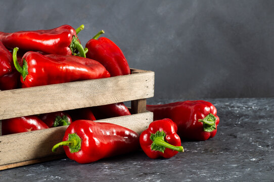 Fresh ripe red capia pepper, hot chili pepper on grey rustic table, turkish vegetable spice concept