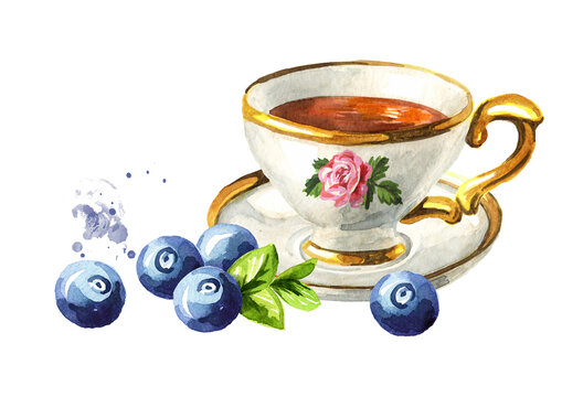 Cup of tea with Blueberry. Hand drawn watercolor illustration isolated on white background