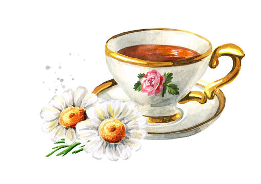 Cup of tea with Chamomile. Hand drawn watercolor illustration isolated on white background