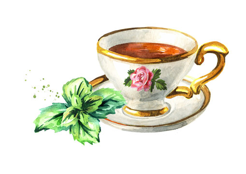 Cup of tea with mint. Hand drawn watercolor illustration isolated on white background