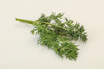 Aroma seasoning - Green Dill branch