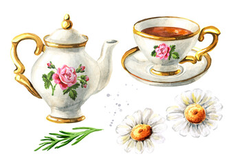 Teapot, cup of tea and Chamomile set. Hand drawn watercolor illustration isolated on white background