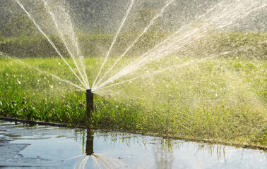 Automatic sprinkler watering the lawn in the park. Irrigation system.