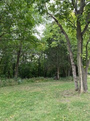 Scenic Minnesota Landscape in Early Autumn